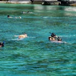 Best Snorkeling Spots in Turks and Caicos: Dive into Paradise