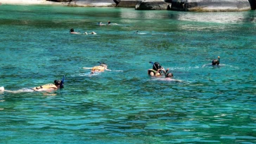 Best Snorkeling Spots in Turks and Caicos: Dive into Paradise