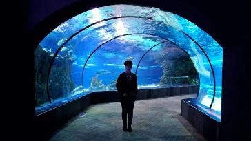 Best Aquariums in New England