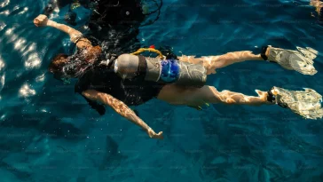 Best Dive Resorts
