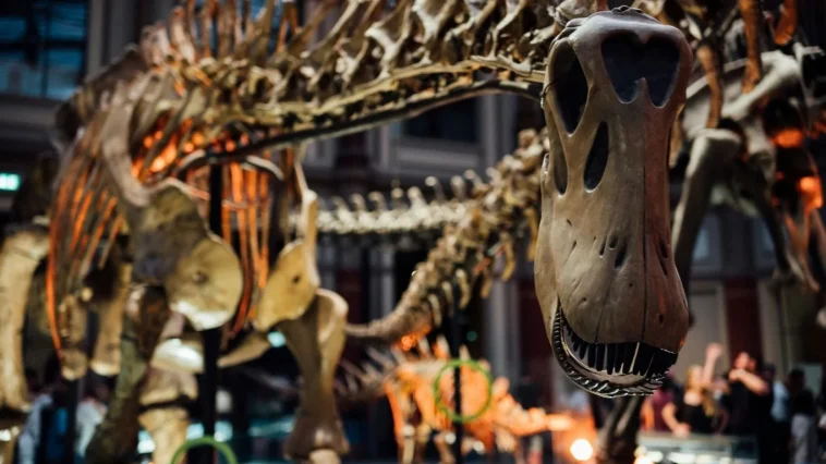 The Best Dinosaur Museums in the US: A Journey Through Prehistoric Times